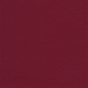 pes-054-raspberry